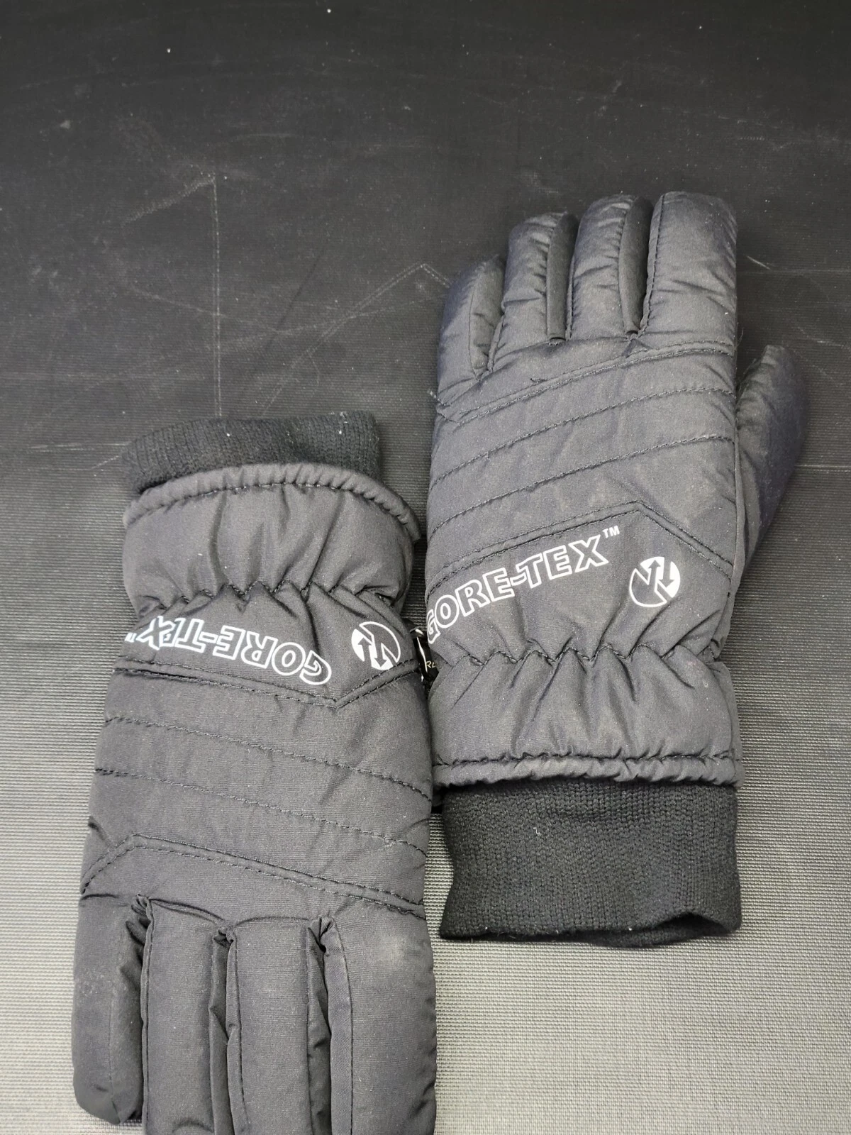 Gore-tex Snow Gloves