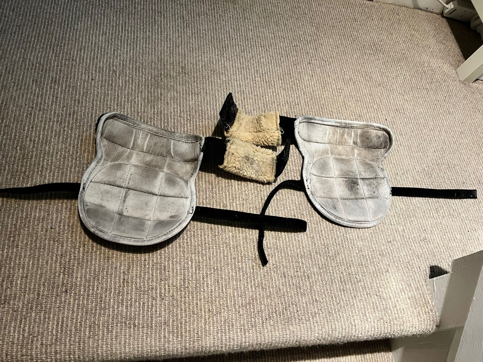 premier equine MagniTeque Knee Boots eBay