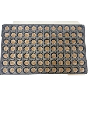 JIFFY-7 30mm Peat Plug Seed Starter Tray of 84 Cells Propagation Coir Pellets