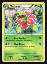 Meganium 26/123 HeartGold & SoulSilver Cracked Ice Holo