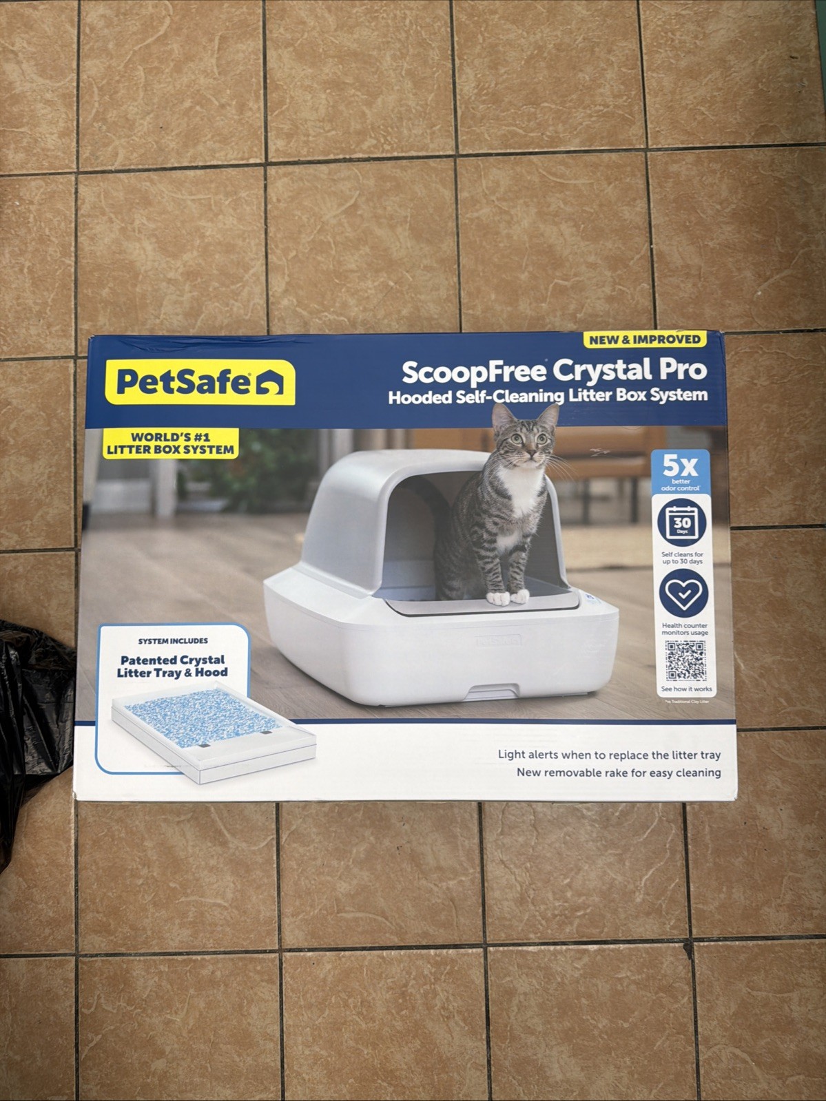 System 🐾 New