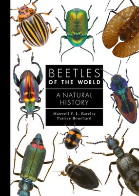 Beetles of the World A Natural History Maxwell V. L. Barclay (u. a.) Buch 2023