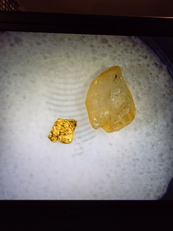 Gold Nugget California with Petalite & .028 of a Gram Gold, Beautiful!