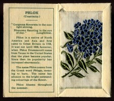Kensitas Woven Silk Flowers, 1934, Small, 1st Series, Folder Type D, PHLOX, #43