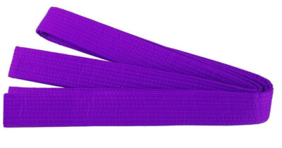 Budo Gürtel violett 250 cm KAITEN HEAVY DUTY, NEU 