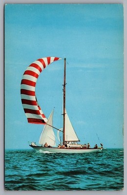 MI Thumb Scenery One Of The Colorful Entries In The Port Huron Postcard TS-301