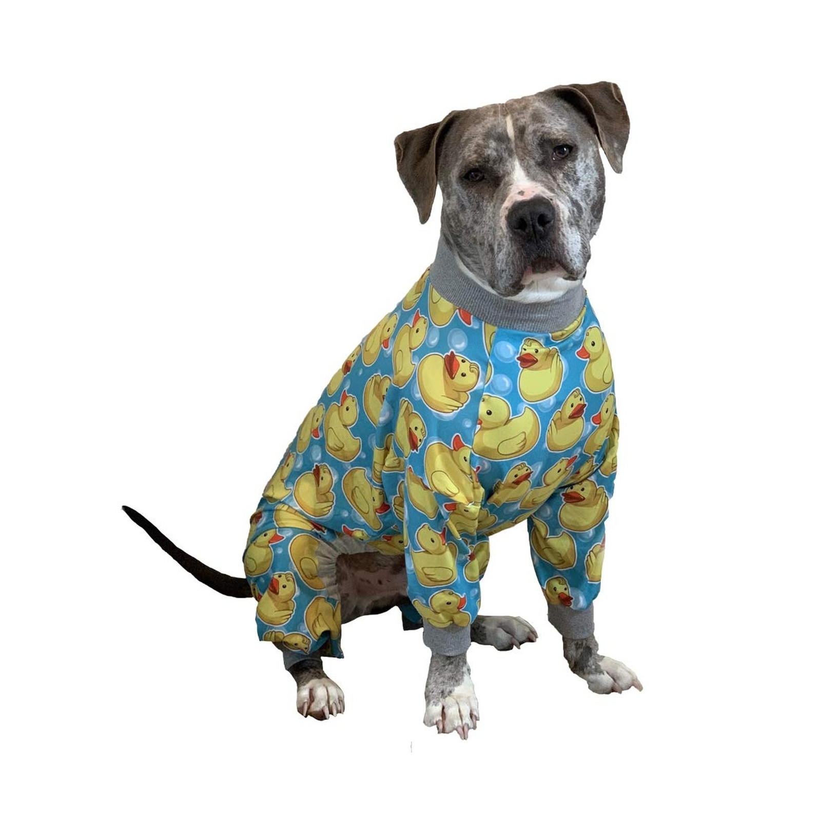tooth and honey pitbull pajamas