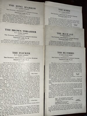 Lot Of 6 Ernest Pearson Audubon Educational Art Prints Thrasher Flicker Sparrow