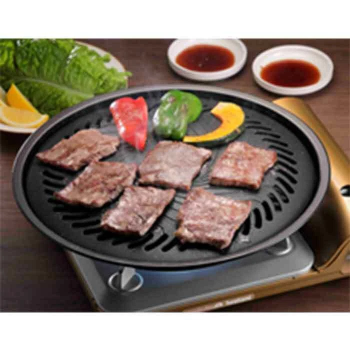 Iwatani grill clearance plate