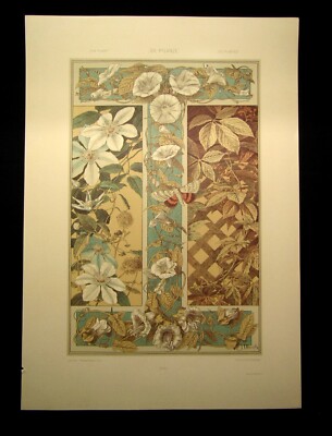 ''Die Pflanze'' in Kunst und Gewerbe 1886  Pl. 164 Photolithographie J.Ulrich