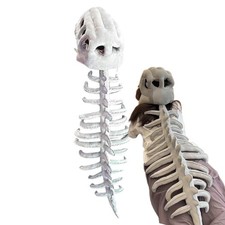3D Realistic Plush Dinosaur Skeleton Costume Set Halloween Skull Cosplay Props