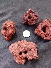 Cherry Shrimp Rock Caves Tunnels Freshwater Amano Nano Aquarium Fry Fish