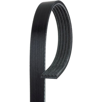 Acdelco 5K335 V Ribbed Serpentine Belt
