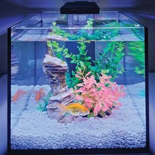 3 Gallon Mini Betta, Small Fish Aquarium Kit - Includes Duo 2 in 1 Submersibl...