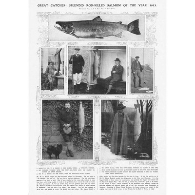 ANGLING Rod-killed Salmon of the Year 1913 - Antique Print 1914