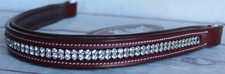 Brown Leather Club BROWBAND Horse English Bri...