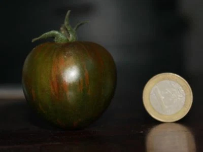 20 graines TOMATE COCKTAIL BLACK ZEBRA CHERRY(Lycopersicum esc.)K39 TOMATO SEEDS