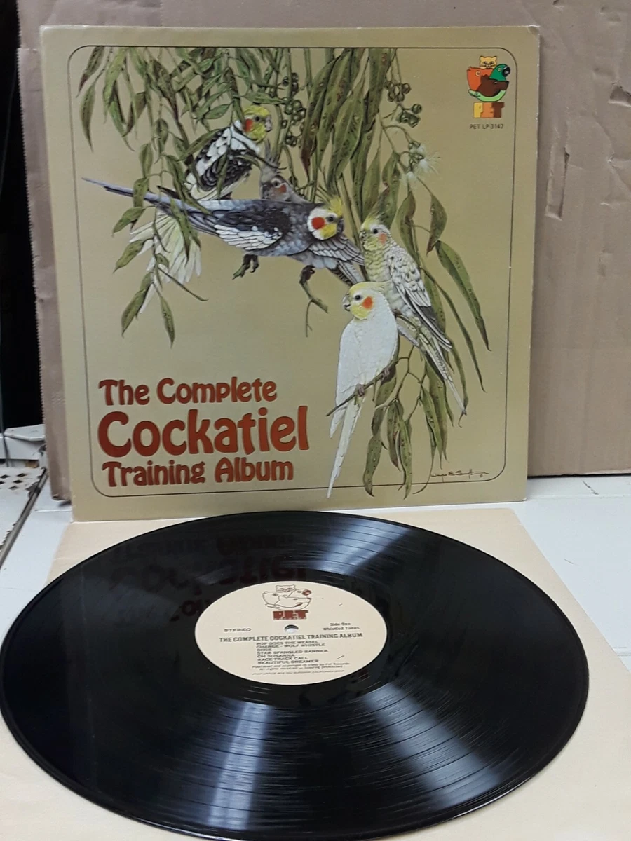 Las mejores ofertas en Discos de vinilo instructivos de tren de