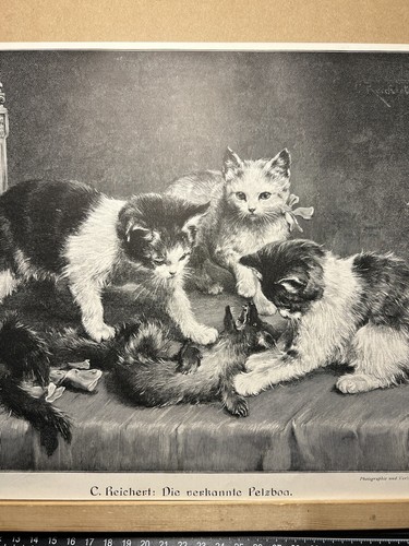 Antik Illustration 1893 Die erkannte Pelzboa Katzen Kitty Kunstdruck Holzschnitt - Bild 13 von 13