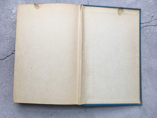 Bambi Thrushwood Books Hardcover Book by Felix Salten 1929 - Picture 13 of 13