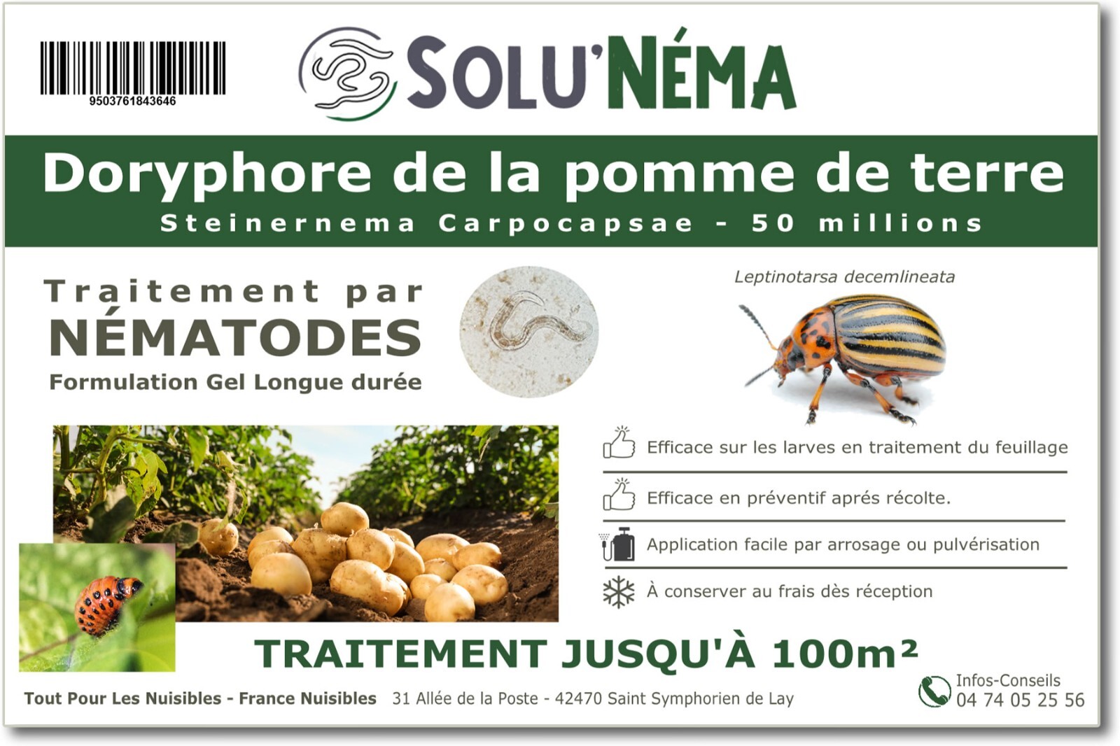 Nématodes doryphores pomme de terre SOLUNEMA 50 Millions larves traitement