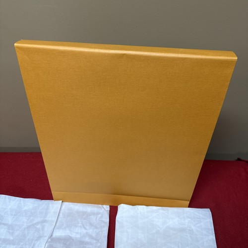 LOUIS VUITTON Empty BAG 18Hx15Wx3.25”Width Self Adhesive Closure 2 Tissues - Picture 8 of 13