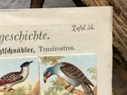 Bild 3 von 10