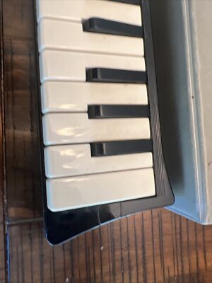 Vintage Hohner Melodica Piano 26 Made in Germany With Case Works