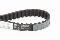 Zahnriemen Continental Ctam CT800 FüR Ck Cg Prelude Honda Cf Cb Ch Rh Accord 600