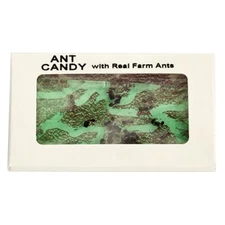Hotlix Ant Candy Real Farm Ants Insects Apple Flavor Sugar Free Hard