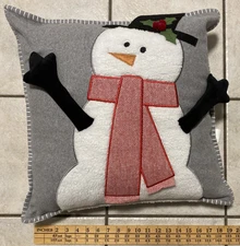 F.A.O SCHWARZ HOLIDAY ACCENT PILLOW 19x19 INCH