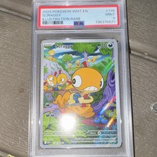 Pokemon 2025 Scraggy 138/086 Sv White Flare Illustration Rare Holo PSA 9 on eBay