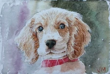 Original  Small Watercolor Painting   6" x 4" Coker Spaniel  Puppy NOT A PRINT