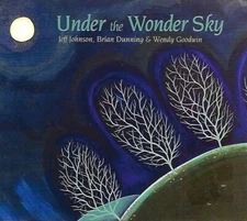Under The Wonder Sky by Jeff Johnson, Brian Dunning & Wendy Goodwin (CD, 2010)