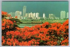 C.1990 SHENZHEN, CHINA VIEWED FROM AFAR 深圳市 CITY SKYLINE Postcard P77