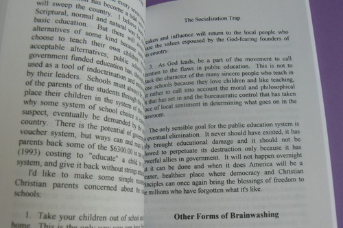 The Socialization Trap,Avoiding Pitfalls of Age Segregation,Boyer Homeschooling - Picture 6 of 6