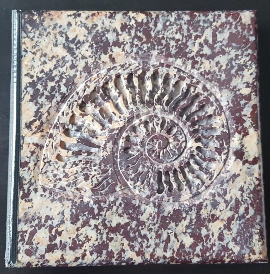 Foto 1 di 2