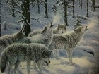 Bild 5 von 8