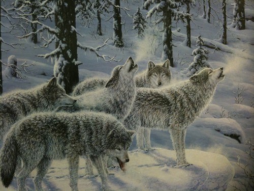 Jeff Tift "Winter's Cry" S/N Ltd Ed Print #4/850 - Bild 5 von 8