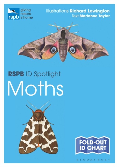 RSPB ID Spotlight - Moths by Marianne Taylor (Fold-out book or chart)