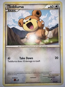 Teddiursa 65/95 Unleashed Regular