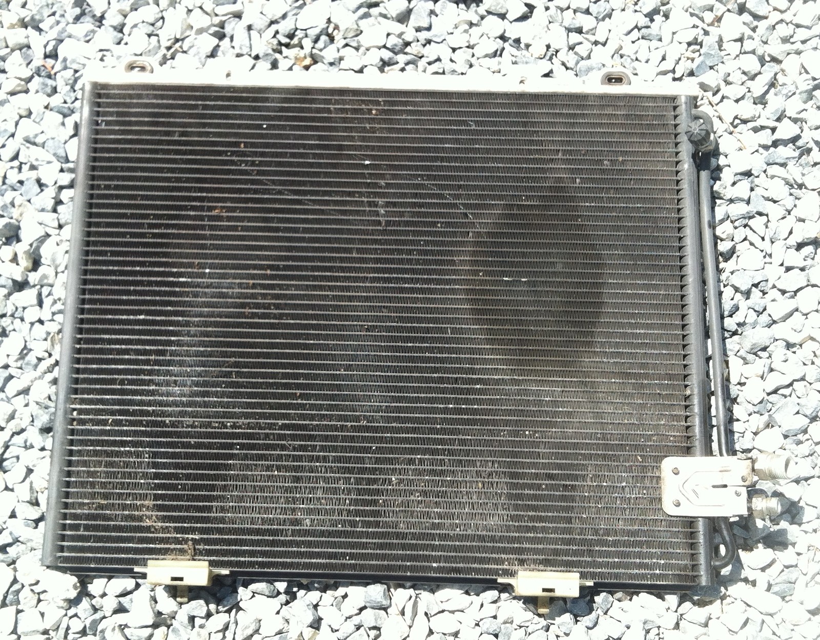 Picture 1