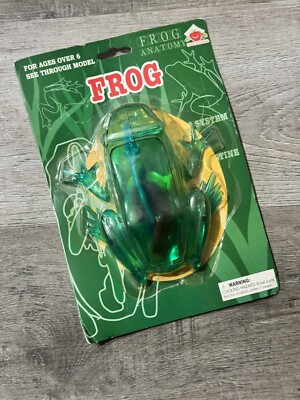 Frog Anatomy Body Internal Organs See Through Plastic Learn