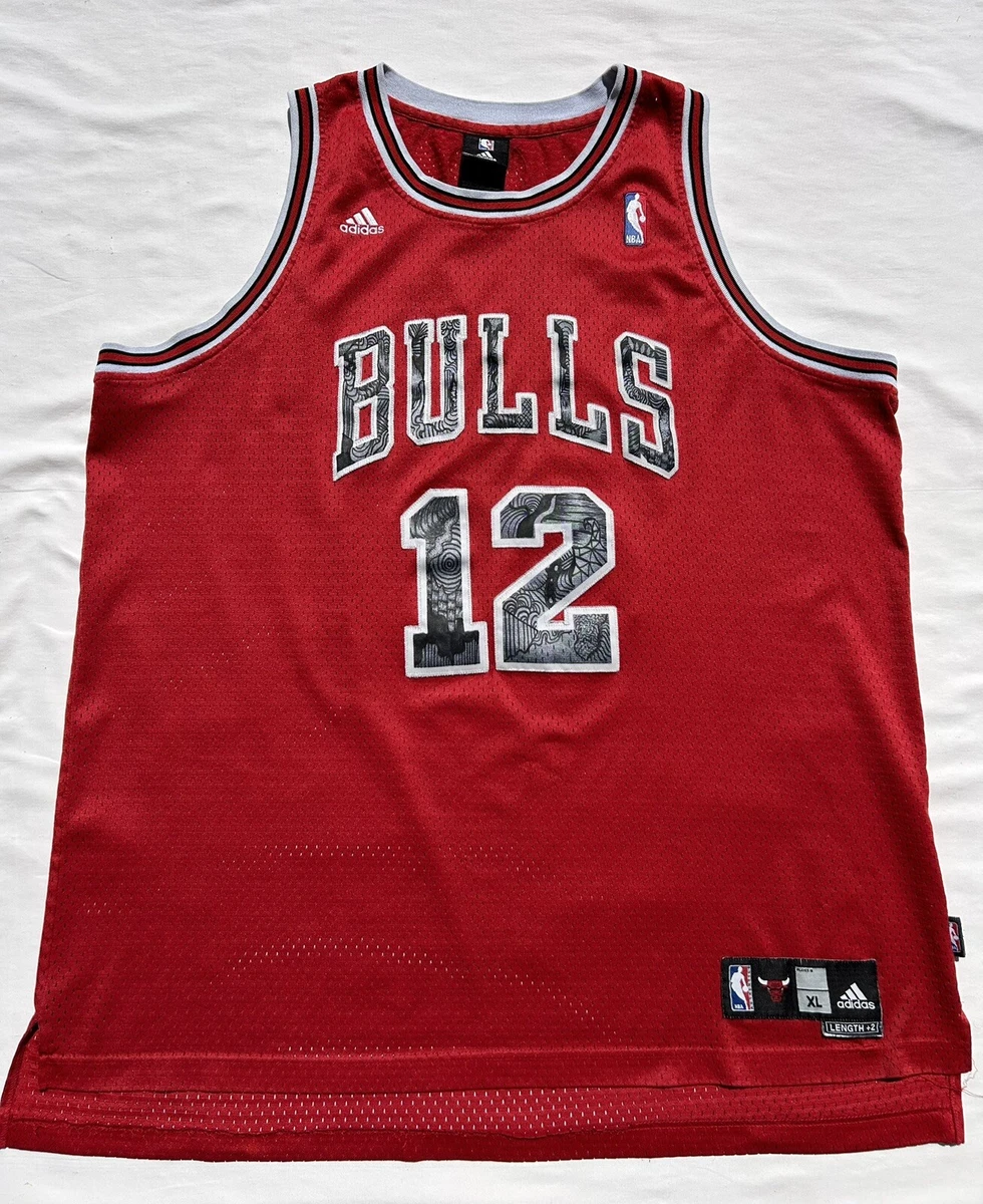 kirk hinrich jersey products for sale | eBay