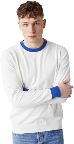 GAS UOMO MAGLIA GIROCOLLO 100% COTONE art. A3412 mod. SAURO/R SOFT COTTON 14GG - Picture 14 of 16
