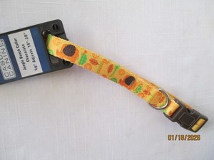 Casual Canine Jungle Bunch Dog Collar - 5/8" Adjustable (14"-20")