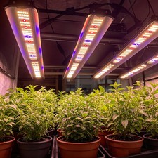 4000W Spider Commercial Greenhouse LED Grow Light High Yield Indoor Growing Lamp
