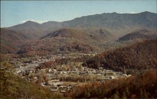 Bird's Eye View Main Business Section Gatlinburg Tennessee vintage postcard I495