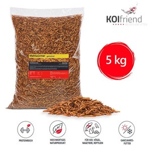 Mehlwürmer getrocknet 5 kg Koifutter Vogelfutter Reptilien Fische Nager Vogel 