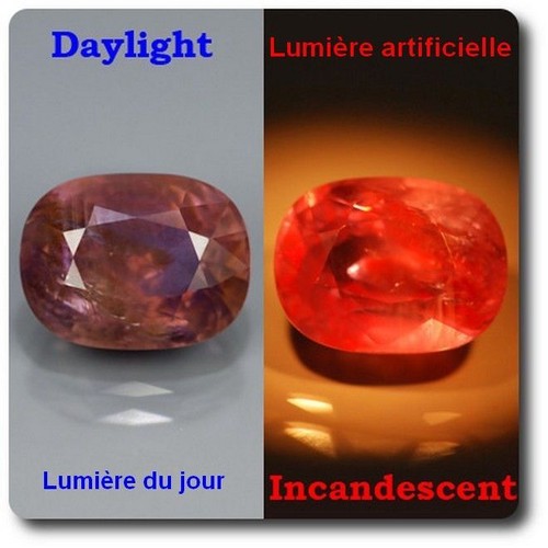 Grenat Bleu Changeant De 0.75cts Madagascar VVS - Avec Certificat D'authenticité